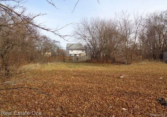 Photo 3 of Land for sale at 3806 Belvidere St, Detroit, MI 48214 | MLS# 60180375 | Listing updated on 2026-01-21