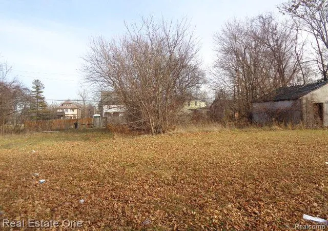 Photo 3 of Land for sale at 3806 Belvidere St, Detroit, MI 48214 | MLS# 60180375 | Listing updated on 2026-01-21