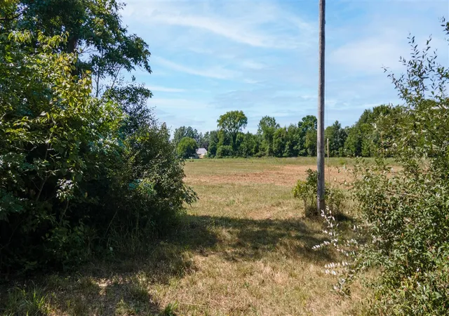 Photo 2 of Land for sale at 04444 47 1/2 Street, Grand Junction, MI 49056 | MLS# 70554169 | Listing updated on 2026-08-28