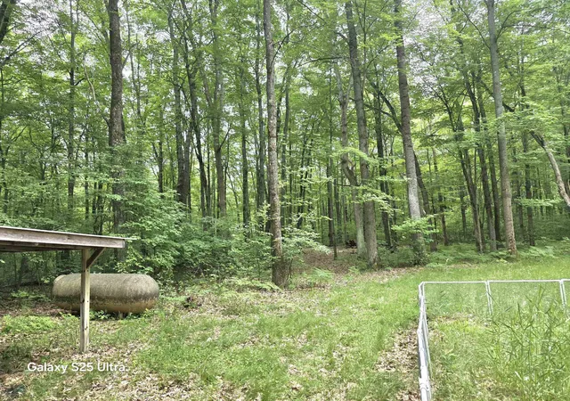 Homes for sale in Gladwin, MI | 10135 Woods Rd, Gladwin, MI 48624 | MLS# 50213344