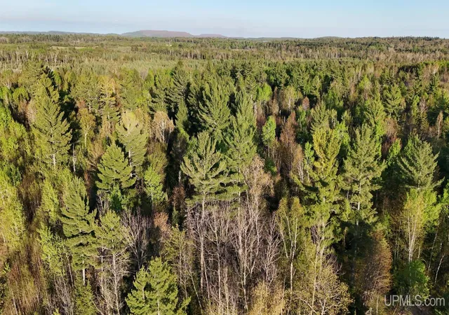 Photo 4 of Land for sale at Lot 12 Carp Crk Dr, Ishpeming, MI 49849 | MLS# 50211524 | Listing updated on 2026-06-16