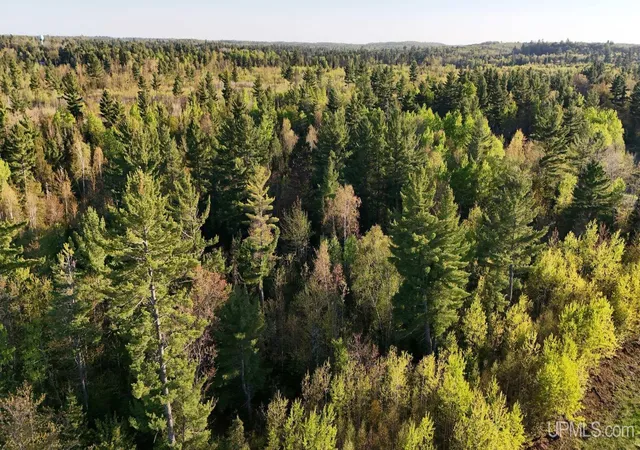 Photo 5 of Land for sale at Lot 12 Carp Crk Dr, Ishpeming, MI 49849 | MLS# 50211524 | Listing updated on 2026-06-16