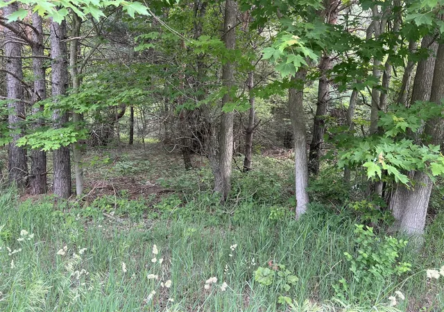 Photo 2 of Sale Pending at Vl W Bard Rd, Muskegon, MI 49445 | MLS# 70474382 | Listing updated on 2025-11-02