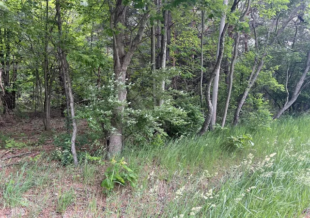 Photo 3 of Sale Pending at Vl W Bard Rd, Muskegon, MI 49445 | MLS# 70474382 | Listing updated on 2025-11-02