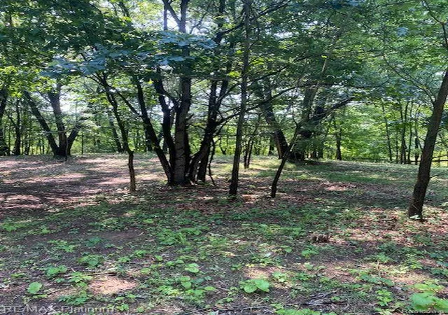 Photo 2 of Land for sale at 4 Sleaford Parcel 4   3292 Acres Rd, Howell, MI 48843 | MLS# 60916099 | Listing updated on 2026-07-17