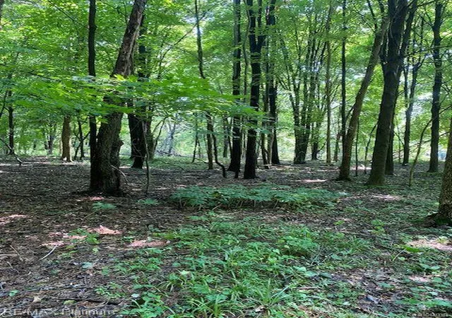Photo 3 of Land for sale at 4 Sleaford Parcel 4   3292 Acres Rd, Howell, MI 48843 | MLS# 60916099 | Listing updated on 2026-07-17