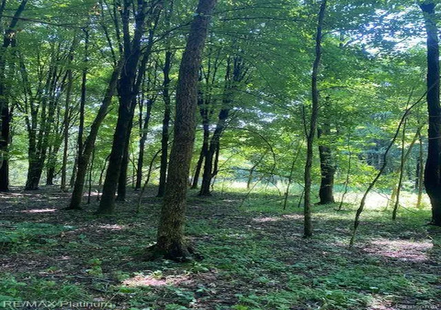 Photo 3 of Land for sale at 4 Sleaford-Parcel 4 - 3292 Acres Rd, Howell, MI 48843 | MLS# 60916099 | Listing updated on 2026-07-17