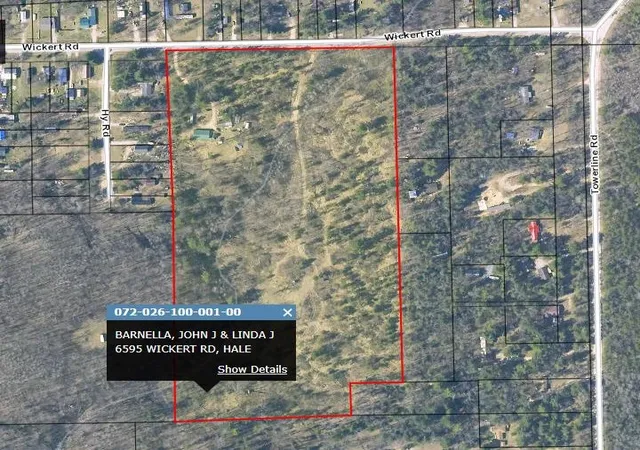 Homes for sale in Hale, MI | 6595 Wickert Rd, Hale, MI 48739 | MLS# 80068440
