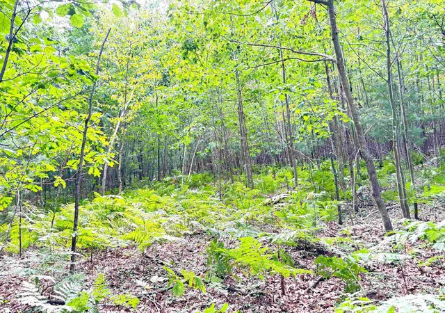 1st image of N Leaton Rd, Mount Pleasant, MI 48858 | MLS# 80061791