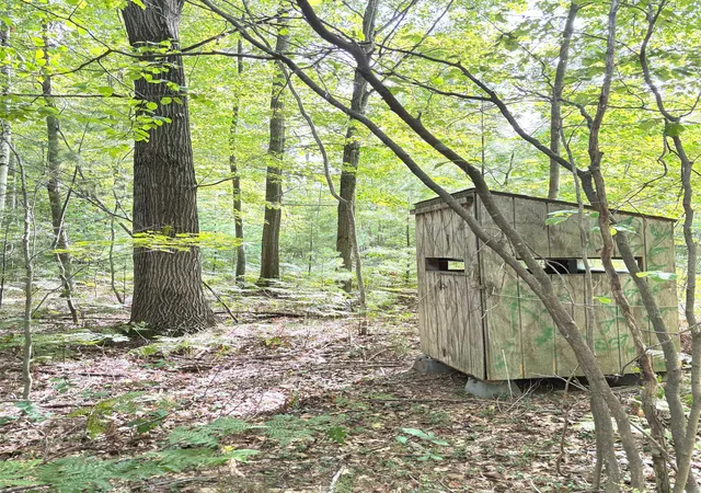 2nd image of N Leaton Rd, Mount Pleasant, MI 48858 | MLS# 80061791