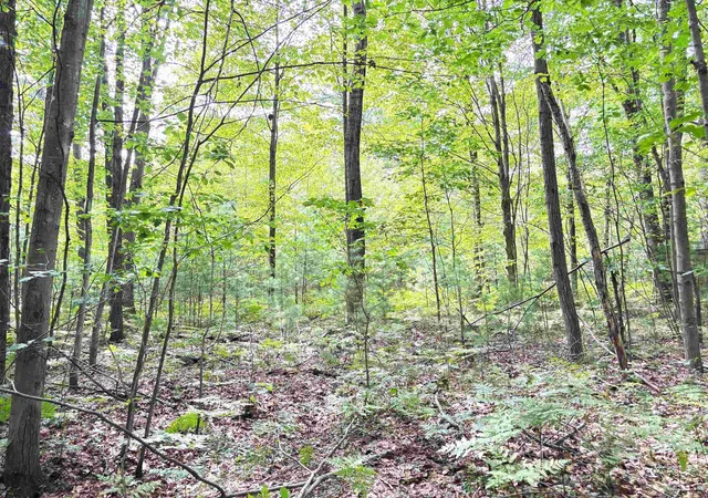 3rd image of N Leaton Rd, Mount Pleasant, MI 48858 | MLS# 80061791