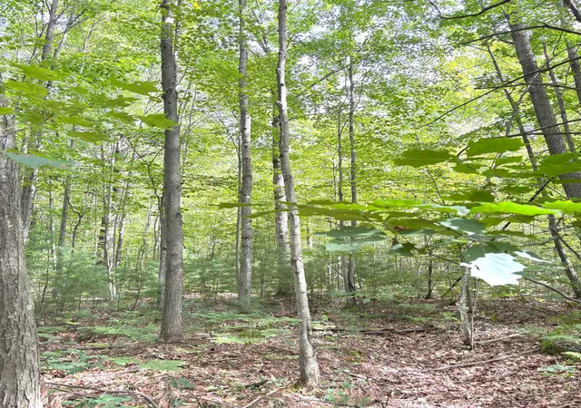 4th image of N Leaton Rd, Mount Pleasant, MI 48858 | MLS# 80061791