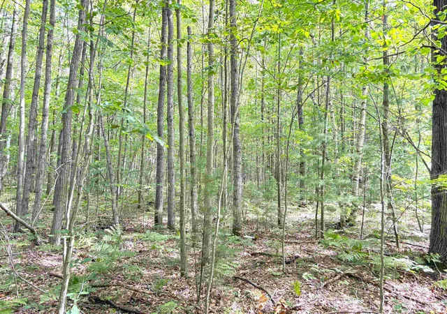 5th image of N Leaton Rd, Mount Pleasant, MI 48858 | MLS# 80061791