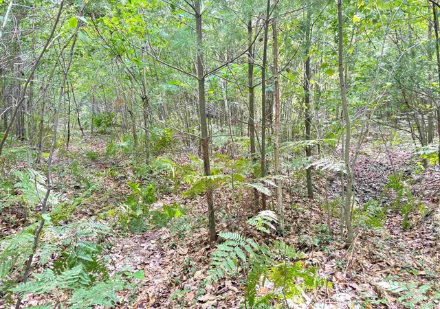 6th image of N Leaton Rd, Mount Pleasant, MI 48858 | MLS# 80061791