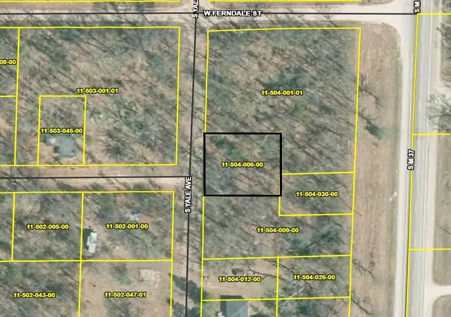 Homes for sale in Baldwin, MI | Vl Yale Ave, Baldwin, MI 49304 | MLS# 70521466