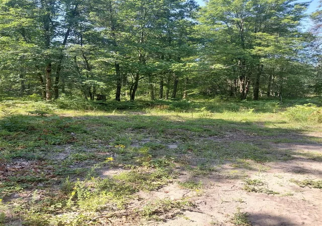 Photo 1 of Land for sale at 2807 S Evergreen Dr, White Cloud, MI 49349 | MLS# 70547156 | Listing updated on 2026-07-23