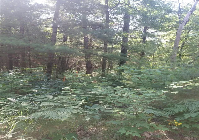 Photo 2 of Land for sale at 2807 S Evergreen Dr, White Cloud, MI 49349 | MLS# 70547156 | Listing updated on 2026-07-23