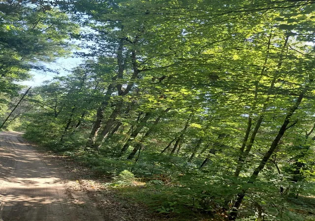 Photo 3 of Land for sale at 2807 S Evergreen Dr, White Cloud, MI 49349 | MLS# 70547156 | Listing updated on 2026-07-23