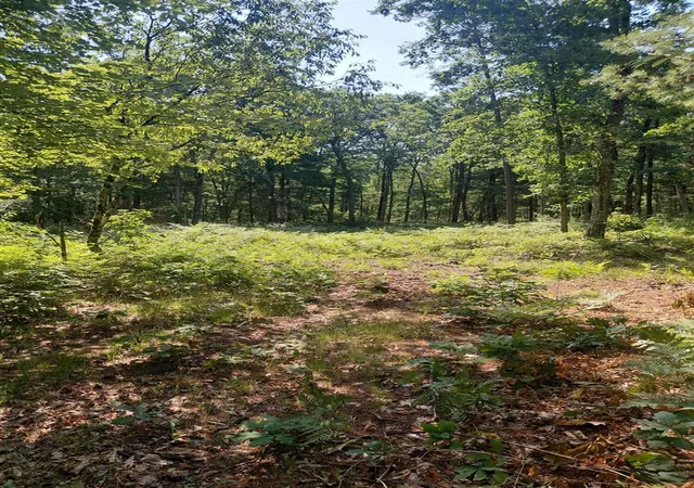 Photo 3 of Land for sale at 2807 S Evergreen Dr, White Cloud, MI 49349 | MLS# 70547156 | Listing updated on 2026-10-01