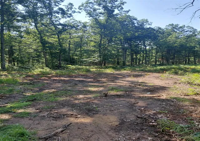 Photo 4 of Land for sale at 2807 S Evergreen Dr, White Cloud, MI 49349 | MLS# 70547156 | Listing updated on 2026-10-01