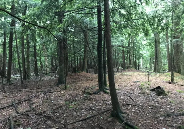 Photo 1 of Land for sale at Vl Old State Rd, Johannesburg, MI 49751 | MLS# 70547448 | Listing updated on 2026-08-28