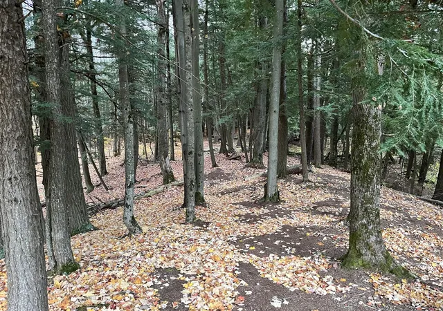 Photo 3 of Land for sale at Vl Old State Rd, Johannesburg, MI 49751 | MLS# 70547448 | Listing updated on 2026-08-28