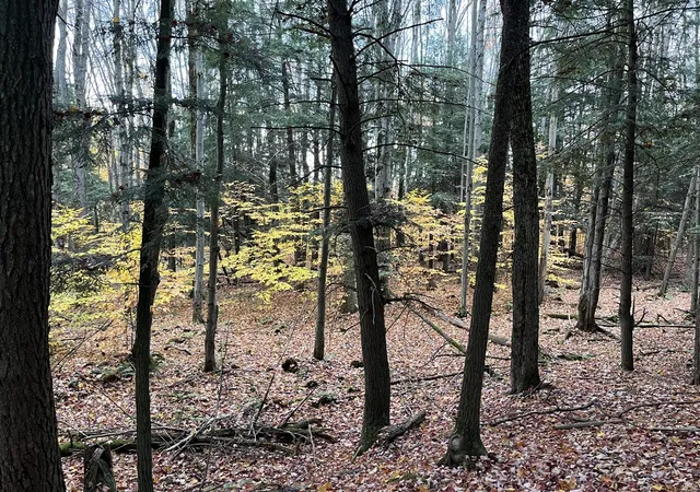 Photo 4 of Land for sale at Vl Old State Rd, Johannesburg, MI 49751 | MLS# 70547448 | Listing updated on 2026-08-28
