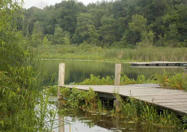 3rd image of Lot #10 Long Lake Dr, Cassopolis, MI 49031 | MLS# 70530027