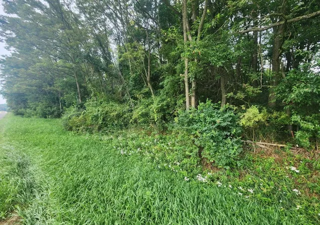 Photo 2 of Land for sale at Kerry Rd, Onekama, MI 49675 | MLS# 80072140 | Listing updated on 2026-08-13