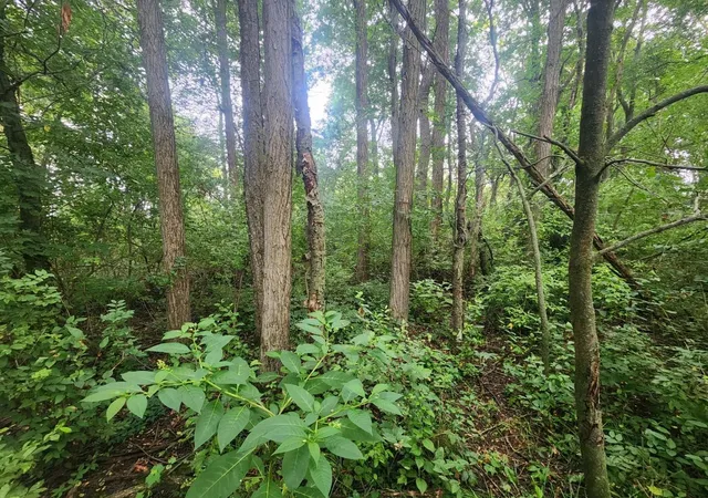 Photo 3 of Land for sale at Kerry Rd, Onekama, MI 49675 | MLS# 80072140 | Listing updated on 2026-08-13