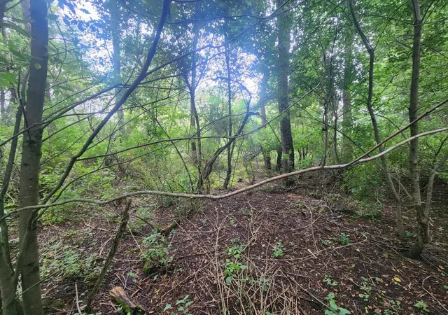 Photo 3 of Land for sale at Kerry Rd, Onekama, MI 49675 | MLS# 80072140 | Listing updated on 2026-08-13