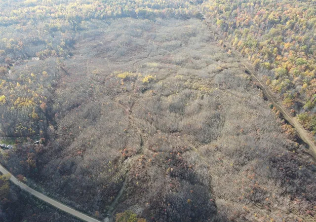Photo 4 of Land for sale at 0vl Railroad Grade Rd, Harrison, MI 48625 | MLS# 70530722 | Listing updated on 2026-06-17