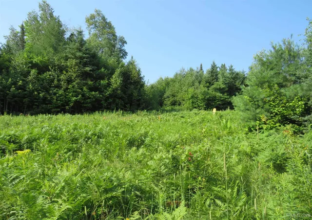Photo 39 of Single family home for sale at Tbd Off King Lake Rd, Michigamme, MI 49861 | MLS# 50219590 | Listing updated on 2026-09-04