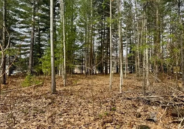Homes for sale in Alger, MI | 4535 River Lane St, Alger, MI 48610 | MLS# 50202481