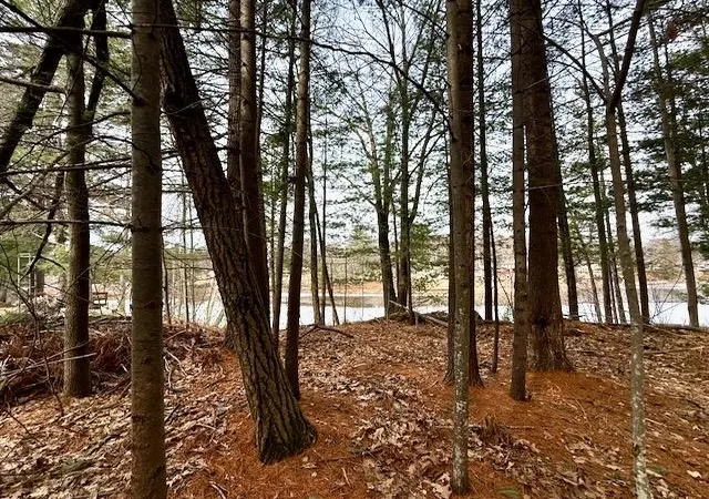 Homes for sale in Alger, MI | 4535 River Lane St, Alger, MI 48610 | MLS# 50202481
