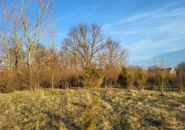 Homes for sale in Milford, MI | Tbd Parcel B Olivia Dr, Milford, MI 48380 1045 | MLS# 60982345