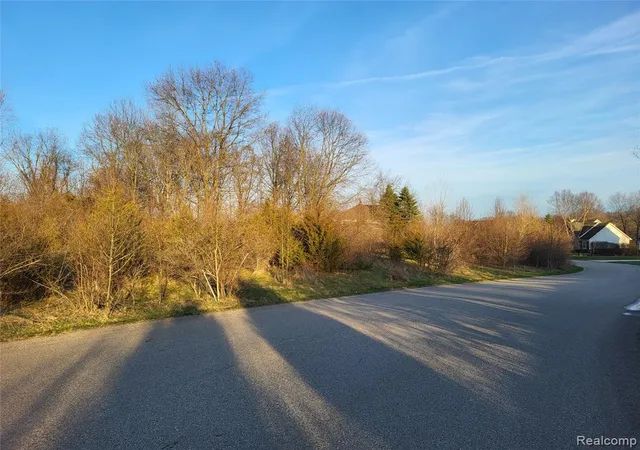 Homes for sale in Milford, MI | Tbd Parcel B Olivia Dr, Milford, MI 48380 1045 | MLS# 60982345