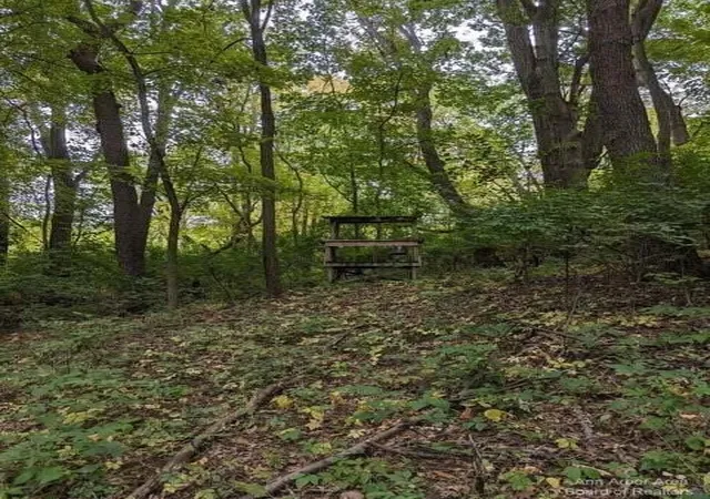 Photo 3 of Land for sale at 20 Ac Vl Sears Rd, Horton, MI 49246 | MLS# 70510697 | Listing updated on 2026-01-20