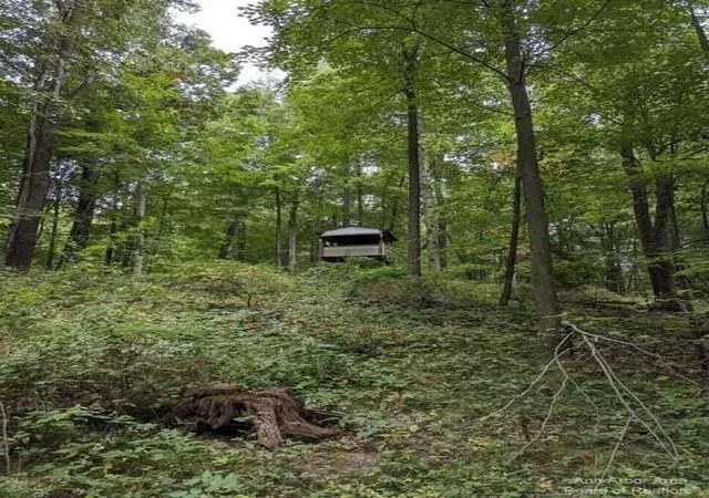 Photo 3 of Land for sale at 20 Ac Vl Sears Rd, Horton, MI 49246 | MLS# 70510697 | Listing updated on 2026-01-20