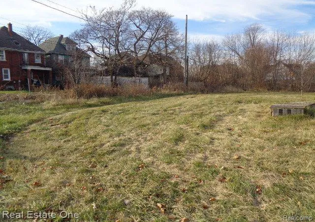 Photo 4 of Land for sale at 2401 Baldwin St, Detroit, MI 48214 | MLS# 60276613 | Listing updated on 2026-01-21