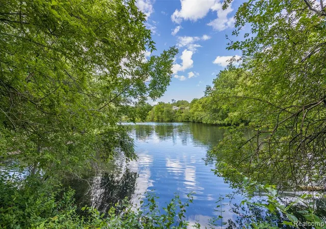 44th image of 686 Peninsula Ct, Ann Arbor, MI 48105 2506 | MLS# 61005847
