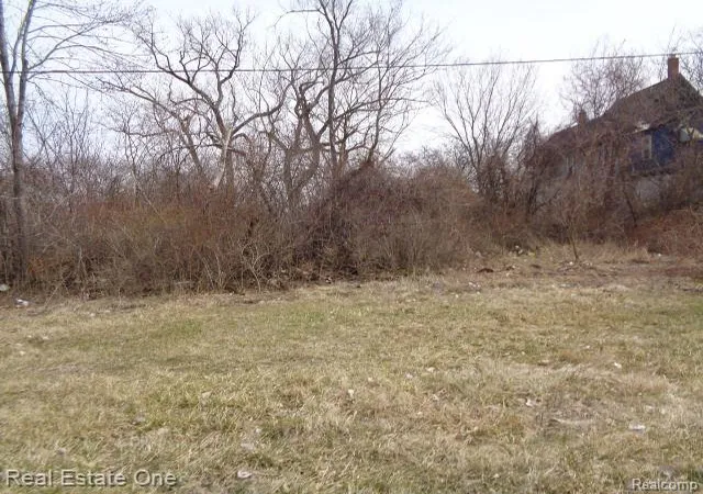 Photo 3 of Land for sale at 600 Concord St, Detroit, MI 48207 | MLS# 60199844 | Listing updated on 2026-01-21