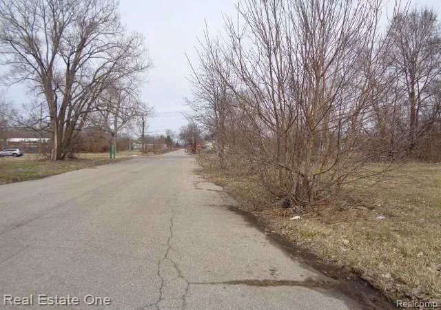 Photo 4 of Land for sale at 600 Concord St, Detroit, MI 48207 | MLS# 60199844 | Listing updated on 2026-01-21