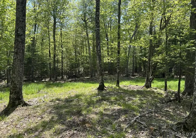 Homes for sale in Big Bay, MI | Tbd Lighthouse Rd, Big Bay, MI 49808 | MLS# 50212541