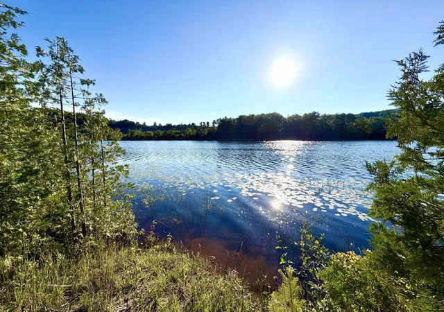 1st image of 7932 Rushton Rd, Ellsworth, MI 49729 | MLS# 80070939