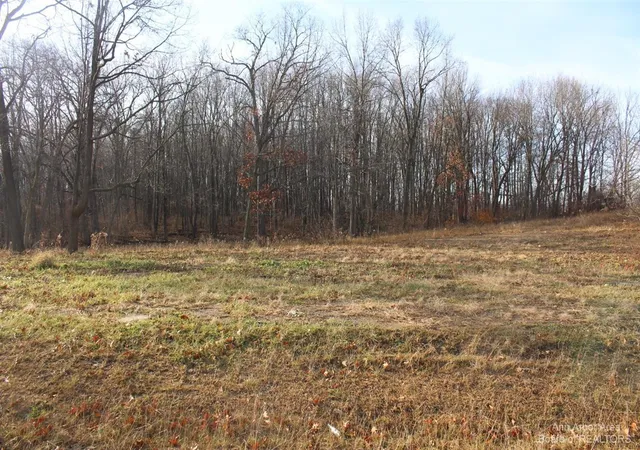Photo 1 of Land for sale at 0 Lindsey Unit 10 Rd, Jackson, MI 49201 | MLS# 70378737 | Listing updated on 2026-01-26