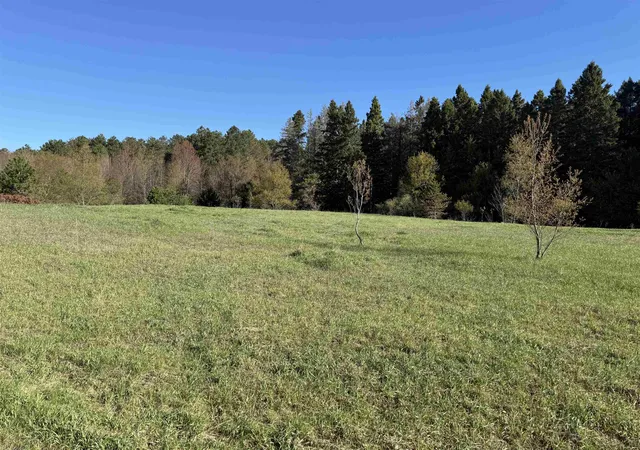 Homes for sale in Empire, MI | 000 W Timber Ln, Empire, MI 49630 | MLS# 80068219