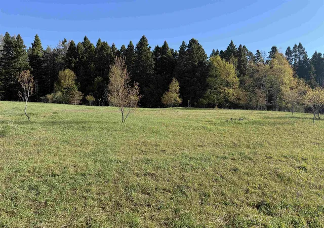 Homes for sale in Empire, MI | 000 W Timber Ln, Empire, MI 49630 | MLS# 80068219