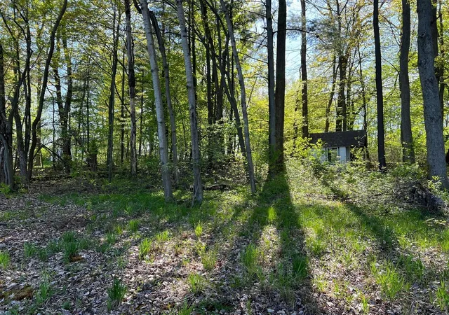 Homes for sale in Coral, MI | Lot 6 Fogeson Dr, Coral, MI 49322 | MLS# 70533895