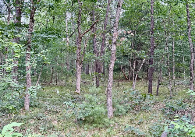 Photo 2 of Land for sale at 2a Steinberg Rd, Manistee, MI 49660 | MLS# 70548423 | Listing updated on 2026-07-27